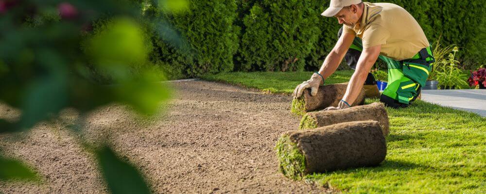 sustainable landscaping near me