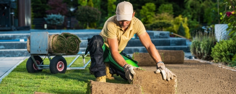 commercial landscaping companies near me