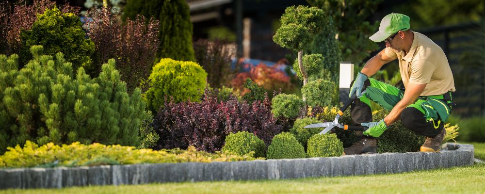 landscape maintenance orange county