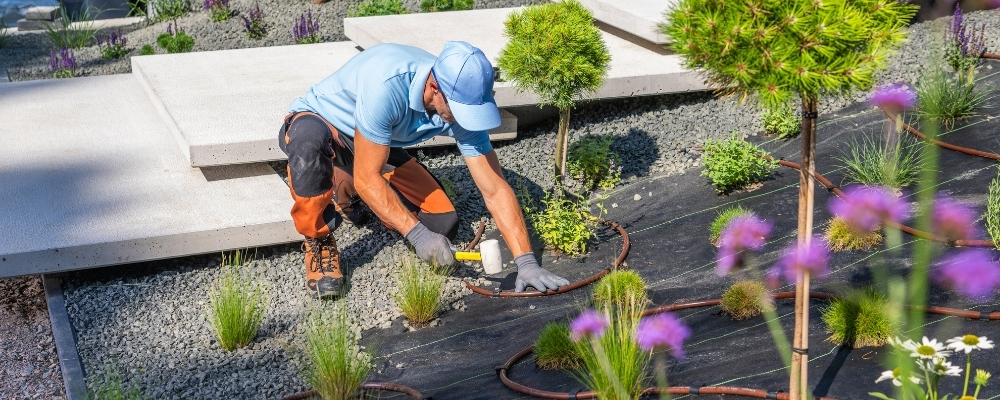 chino commercial landscaping