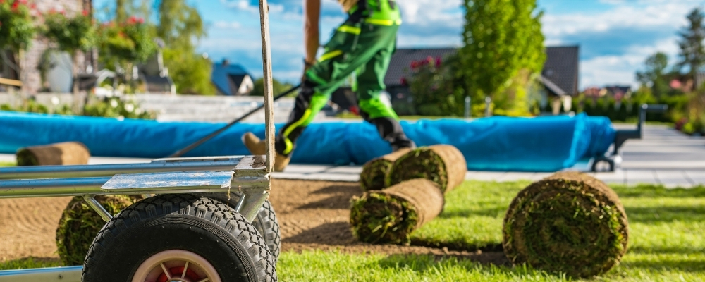 newport beach commercial landscaping