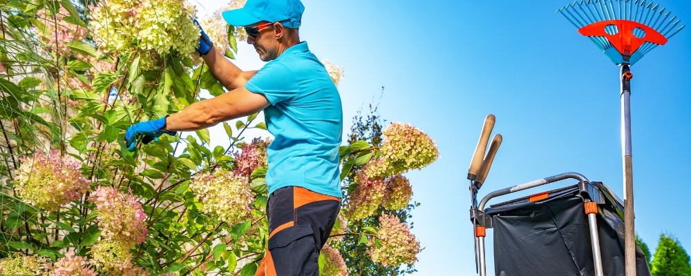 Anaheim Commercial Landscaping: Property Maintenance Solutions That Drive Business Success