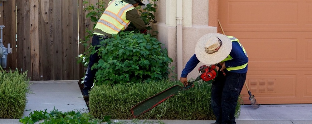 Commercial Landscaping - Aliso Viejo: Maintenance & Design